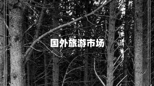 國外旅游市場