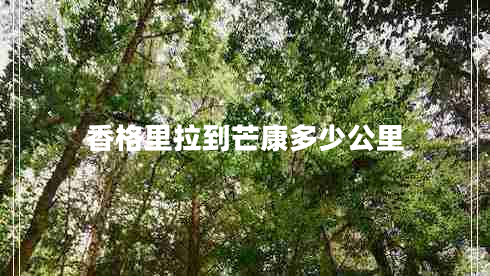 香格里拉到芒康多少公里