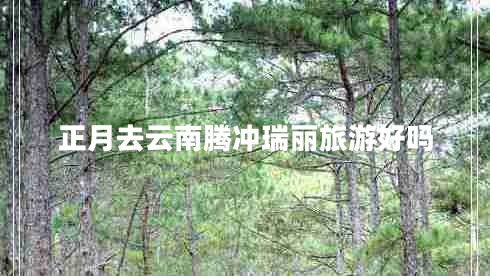 正月去云南騰沖瑞麗旅游好嗎