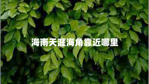 海南天涯海角靠近哪里