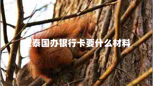 在泰國(guó)辦銀行卡要什么材料