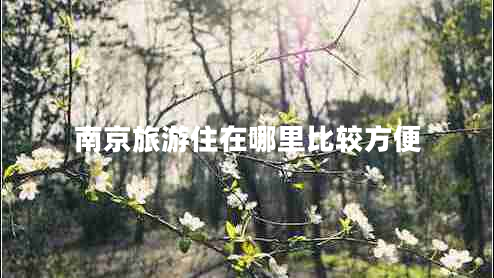 南京旅游住在哪里比較方便