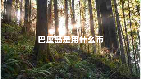 巴厘島是用什么幣