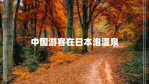 中國(guó)游客在日本泡溫泉 中國(guó)游客在日本泡溫泉