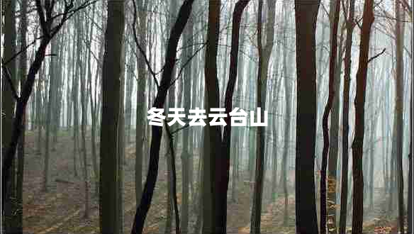 冬天去云臺(tái)山