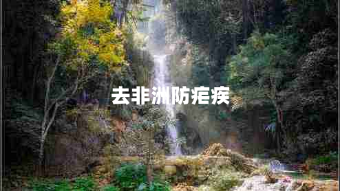 去非洲防瘧疾