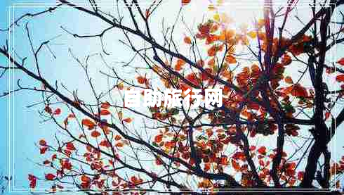 自助旅行網(wǎng) 自助旅行網(wǎng)