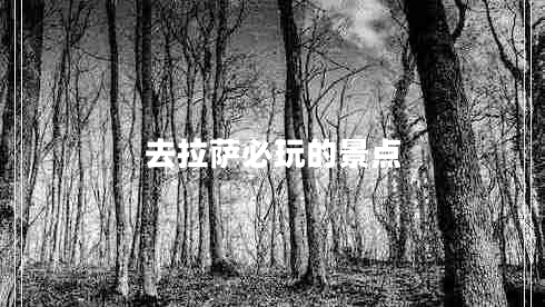 去拉薩必玩的景點(diǎn) 去拉薩必玩的景點(diǎn)