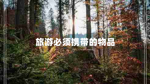 旅游必須攜帶的物品 旅游必須攜帶的物品