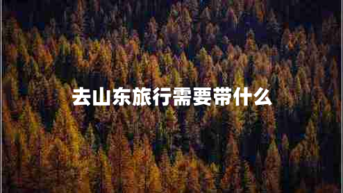 去山東旅行需要帶什么