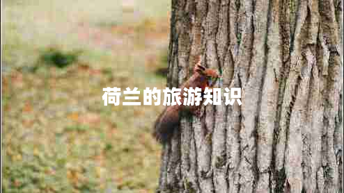 荷蘭的旅游知識(shí) 荷蘭的旅游知識(shí)