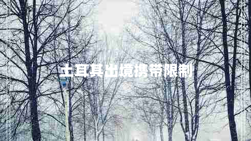 土耳其出境攜帶限制