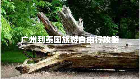 廣州到泰國旅游自由行攻略