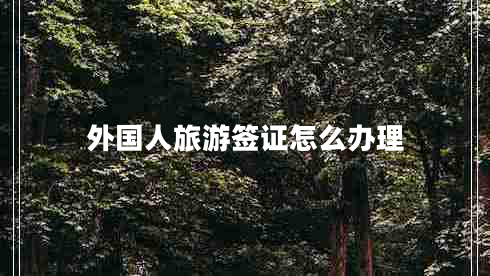 外國(guó)人旅游簽證怎么辦理 外國(guó)人旅游簽證怎么辦理