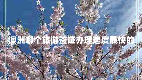 澳洲哪個旅游簽證辦理速度最快的