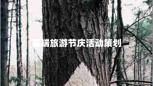 高端旅游節(jié)慶活動策劃