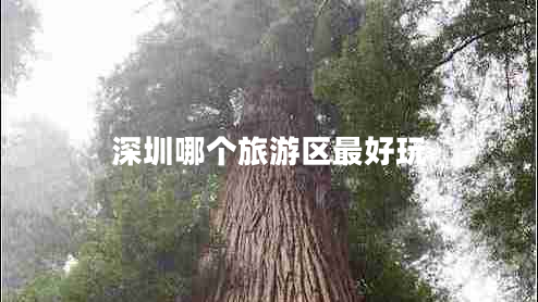 深圳哪個旅游區(qū)最好玩