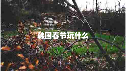 韓國春節(jié)玩什么 韓國春節(jié)玩什么