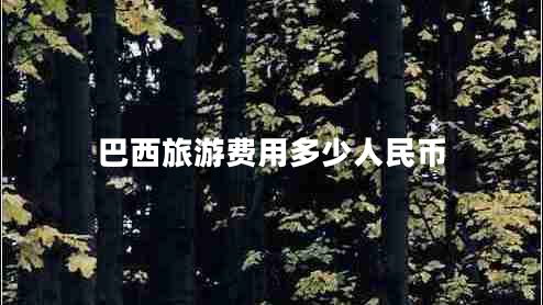 巴西旅游費用多少人民幣