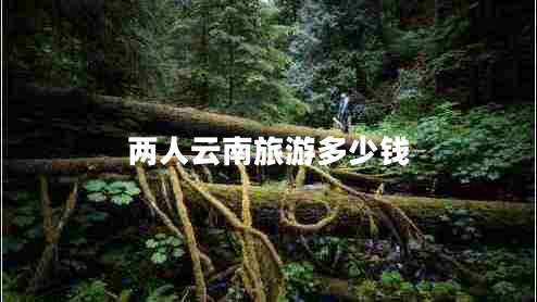 兩人云南旅游多少錢