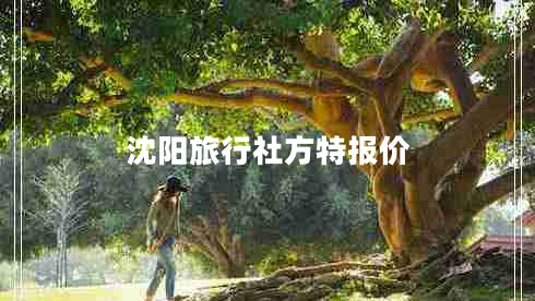 沈陽(yáng)旅行社方特報(bào)價(jià)