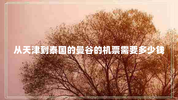 從天津到泰國的曼谷的機票需要多少錢