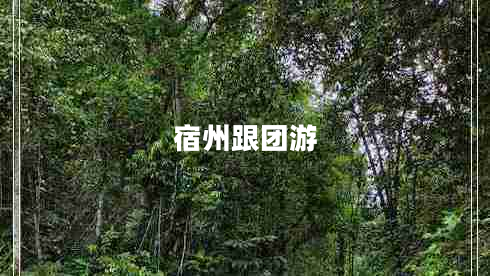 宿州跟團(tuán)游 宿州跟團(tuán)游