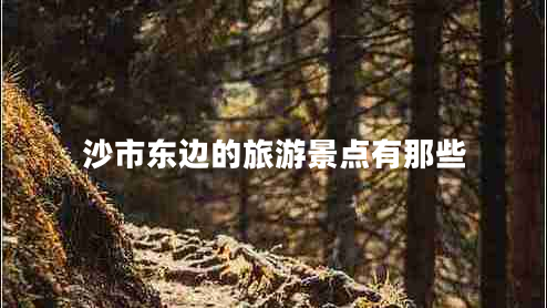 沙市東邊的旅游景點有那些