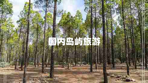 國(guó)內(nèi)島嶼旅游