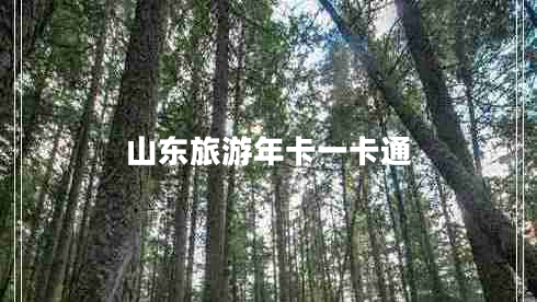 山東旅游年卡一卡通 山東旅游年卡一卡通