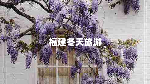 福建冬天旅游