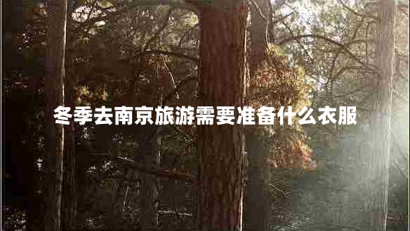 冬季去南京旅游需要準(zhǔn)備什么衣服