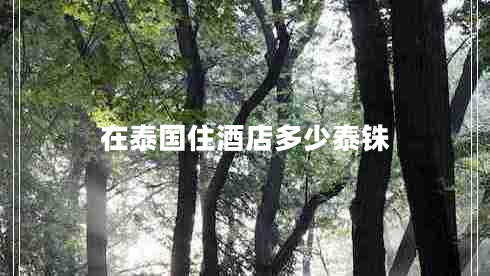 在泰國住酒店多少泰銖