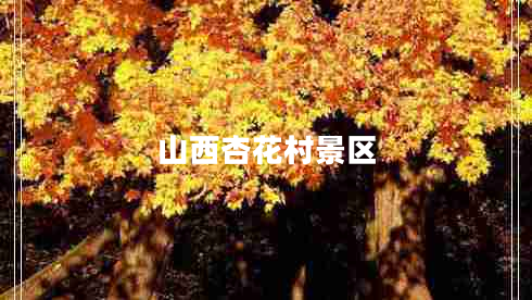 山西杏花村景區(qū) 山西杏花村景區(qū)