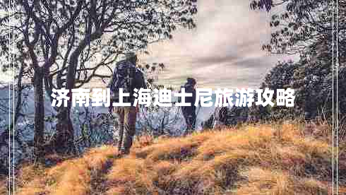 濟(jì)南到上海迪士尼旅游攻略