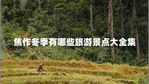 焦作冬季有哪些旅游景點大全集 焦作冬季有哪些旅游景點大全集