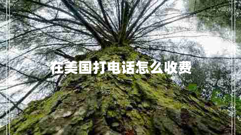 在美國(guó)打電話怎么收費(fèi) 在美國(guó)打電話怎么收費(fèi)