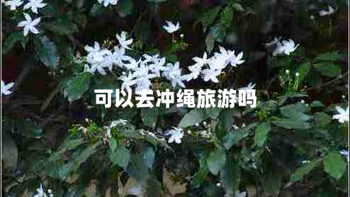 可以去沖繩旅游嗎