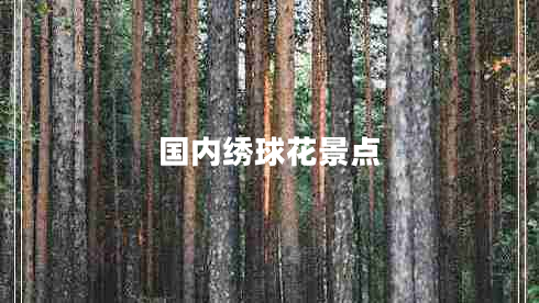 國(guó)內(nèi)繡球花景點(diǎn) 國(guó)內(nèi)繡球花景點(diǎn)