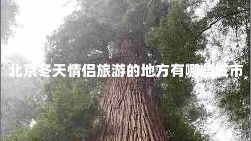 北京冬天情侶旅游的地方有哪些城市