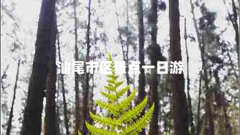 汕尾市區(qū)景點一日游