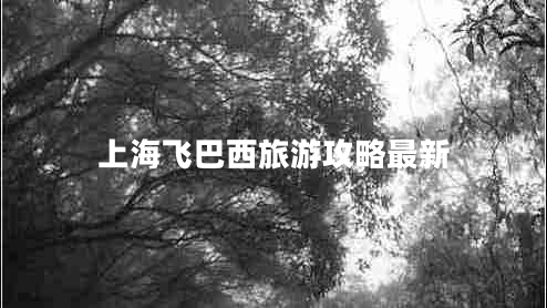 上海飛巴西旅游攻略最新 上海飛巴西旅游攻略最新