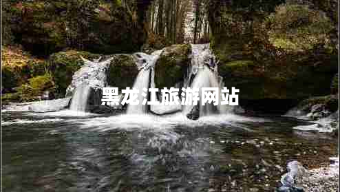 黑龍江旅游網(wǎng)站