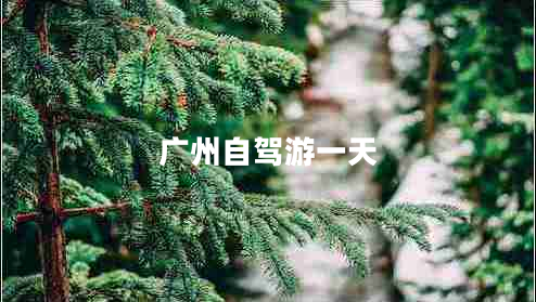 廣州自駕游一天