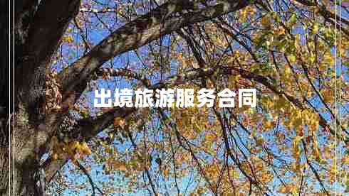 出境旅游服務(wù)合同