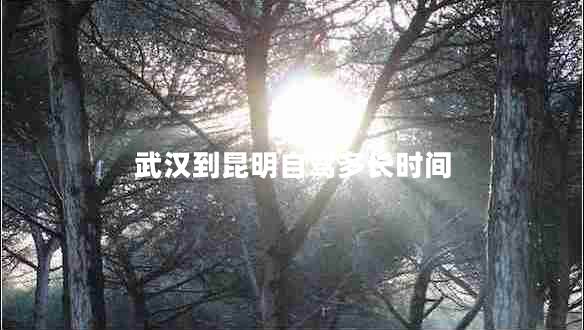 武漢到昆明自駕多長時間