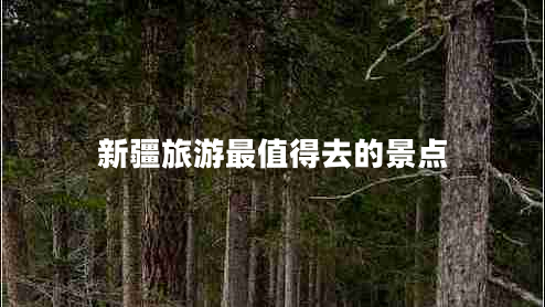 新疆旅游最值得去的景點(diǎn)