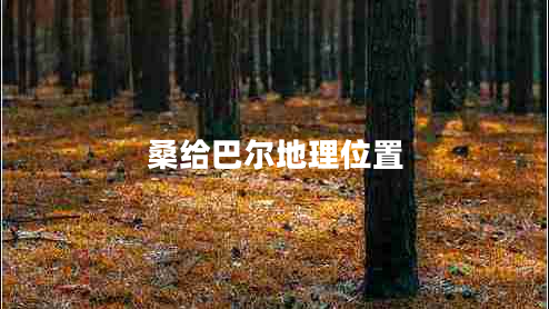 桑給巴爾地理位置