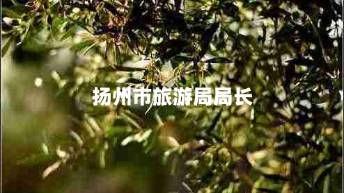 揚州市旅游局局長