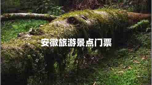 安徽旅游景點(diǎn)門票
